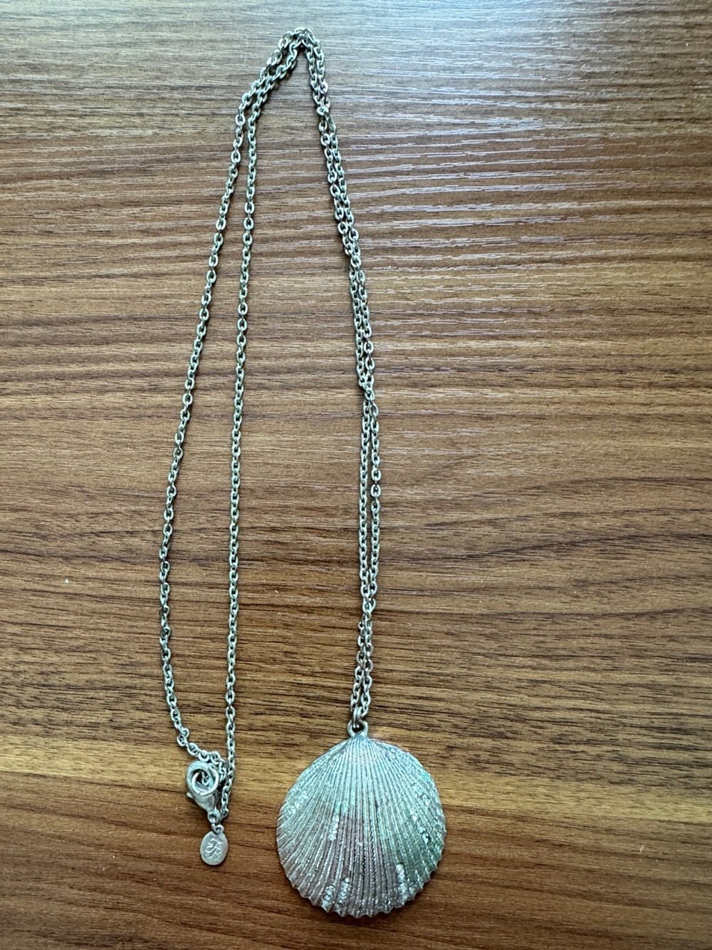 Sterling Silver Scallop Sea Shell Pendant Necklace